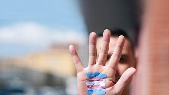 transgender flag in the palm of the hand